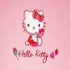 kitty5535